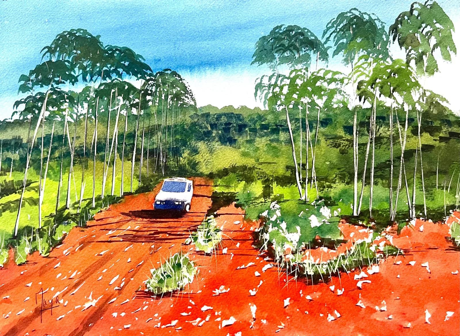 Bush, Australie - Septembre 2026