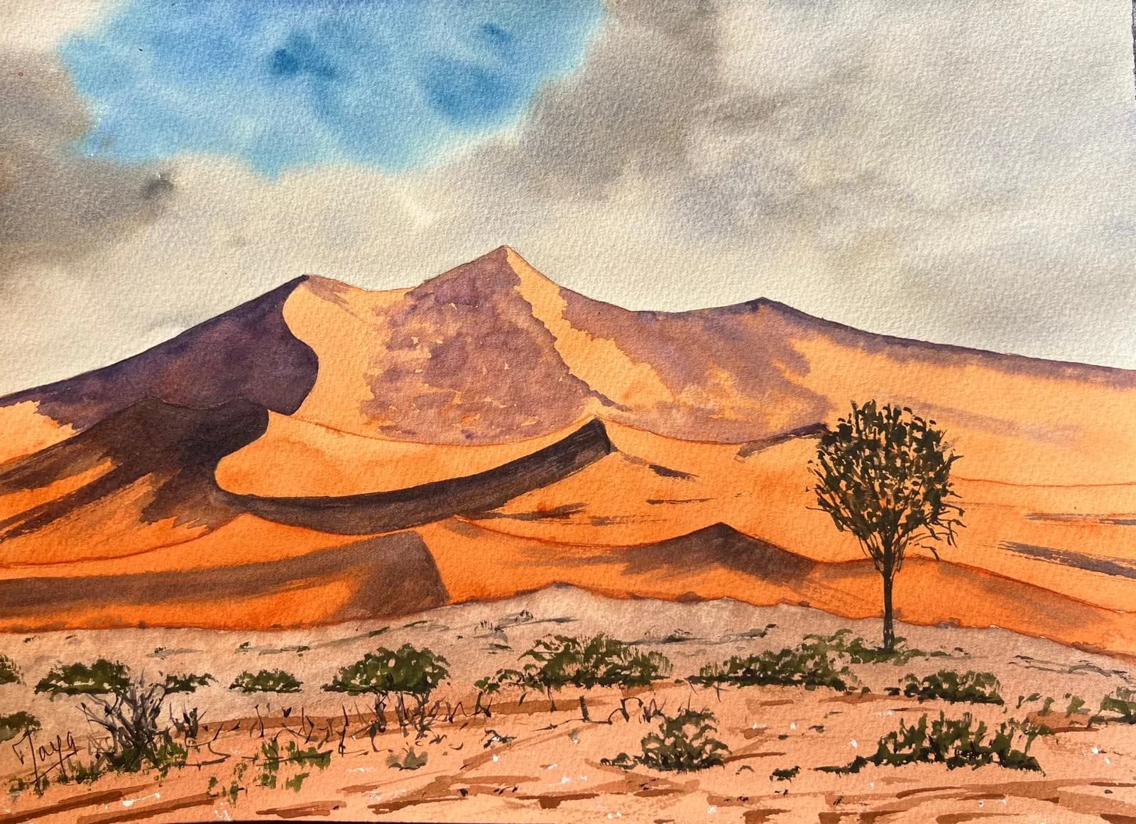 Désert de Namib, Namibie août 2026